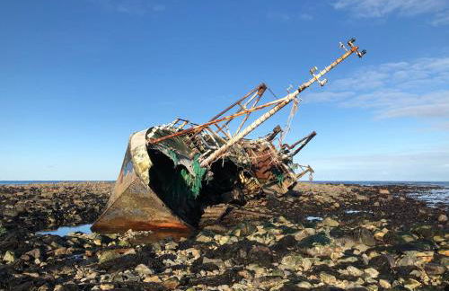 Cotton Shore - Foto 21