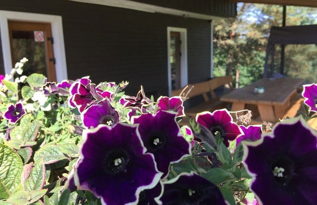 Kaimo Turizmo Sodyba Geras - Photo 28