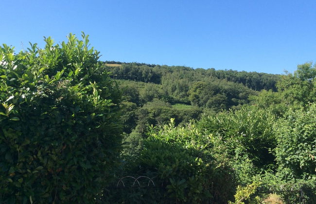 Charming 3-bed Cottage Exmoor Near Barnstaple - Foto 23