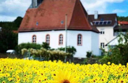 Naturpanorama - Foto 13