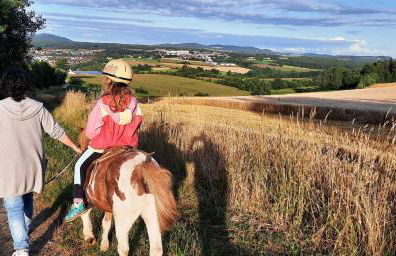 Bauernhof Nißl - Foto 54