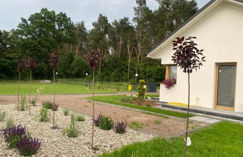 Leśny Horyzont Bałtów - Foto 12