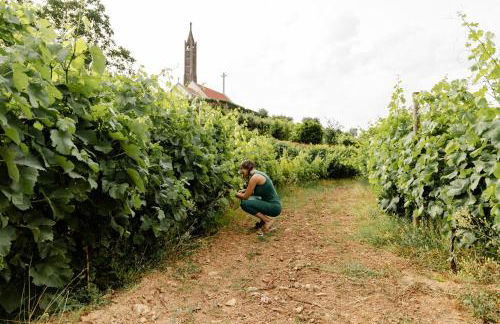 Casa das Nogueiras - Foto 50