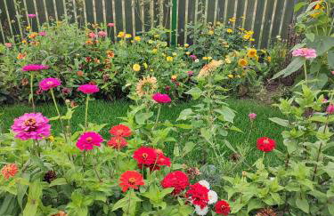 Zielona Przystań - Foto 14