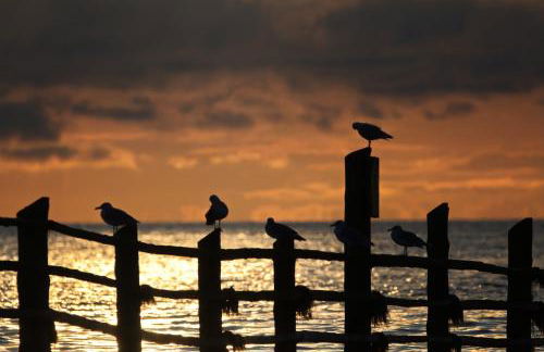 Ferienhaus Tura - Foto 44