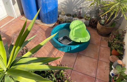 A l'air libre, perché au calme et au soleil - Foto 36