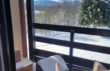 LE CHALET des 3 Sapins, Superbe Duplex Montagnard avec balcon, au calme - Les Rousses, Draps inclus & Parking gratuit - Foto 25