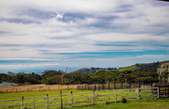 Almore Hotel - Foto 72