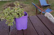 Mieszkanie z Ogrodem - Foto 40