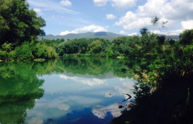 Bio Agriturismo Valle dei Calanchi - Foto 66