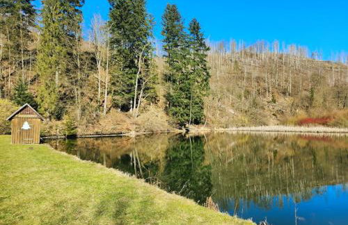 Ferienwohnung Mühlenteich by Hoheisel, Zaubernuss, Parken, Wanderstart, WLAN - Foto 37