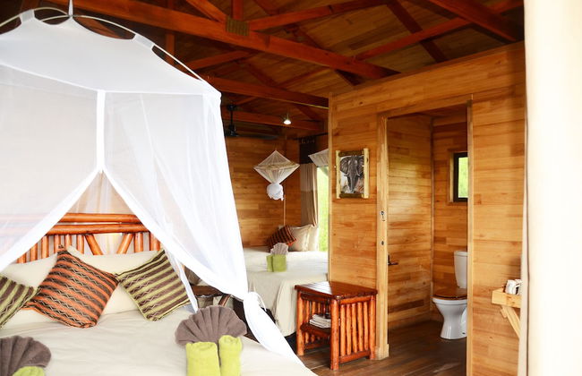 Pezulu Tree House Lodge - Foto 4