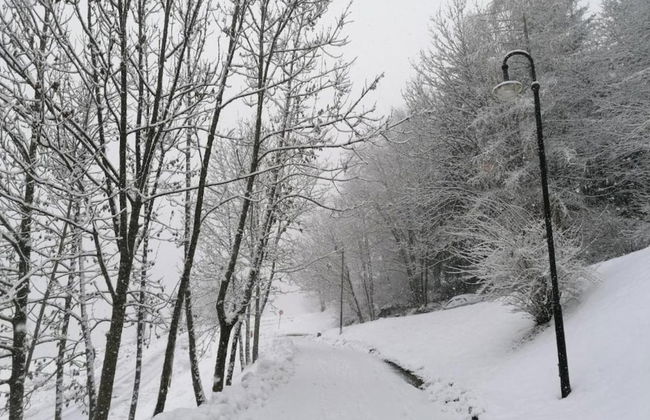 Apartment in Cavalese Near Cermis Ski Slopes - Foto 40