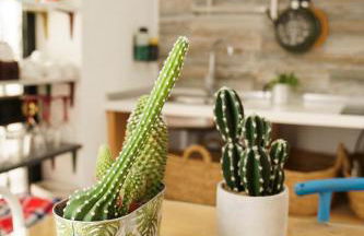 Casa singular y con encanto - Foto 12