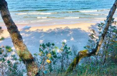 Ferienhaus Mila 70qm bis 5 Gäste mit Fass-Sauna, Whirlpool April bis Oktober, 75qm Terrasse und eingezäunten Garten Haustiere willkommen - Photo 35