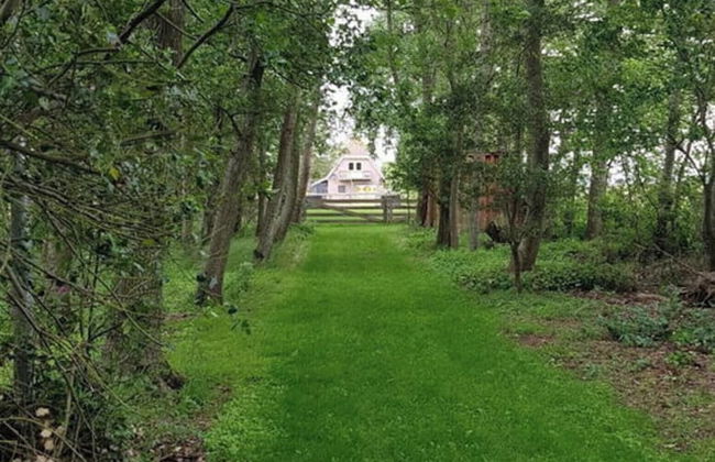 Country Life Comfortable Holiday Residence - Foto 2