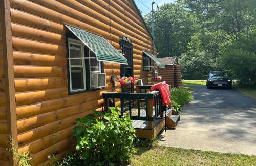 Adirondack Waterfront Cabin Upper Hudson Tributary - Foto 6