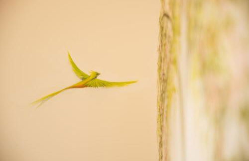 MirAntium - Anzio - Santa Teresa - Photo 35