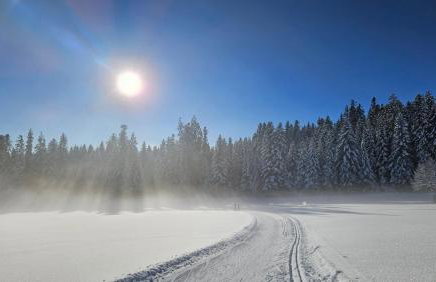 Schwarzwaldblick Rothaus - Photo 6