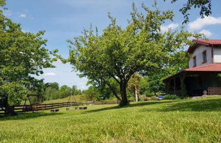 "Dolina szczęścia" Kartkowo - Foto 22