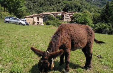 Mas La Cabanya Beget Xalet de muntanya - Photo 1