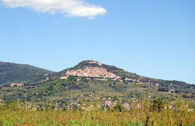 Farmhouse in Tuscany With Pool and Hill Views - Photo 33