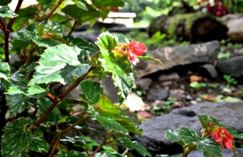 Casa do pescador - Foto 33