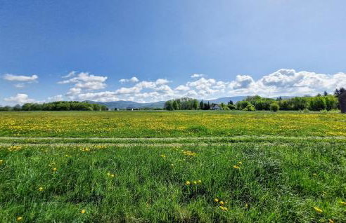 Dom Z Widokiem Na Snieznik - Foto 7
