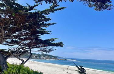 Romantic Carmel Cottage Ocean Country Views - Photo 13