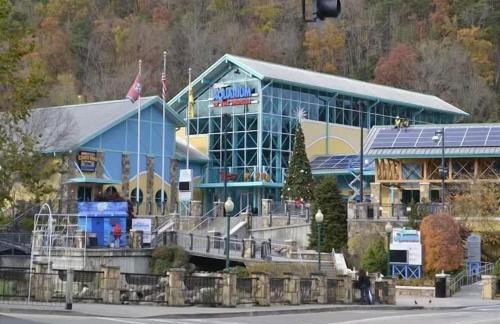 Secluded - Renovated Cabin - Enjoy Peace & Quiet - Foto 50