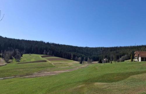 Ferienhaus, Sankt Georgen - Foto 34