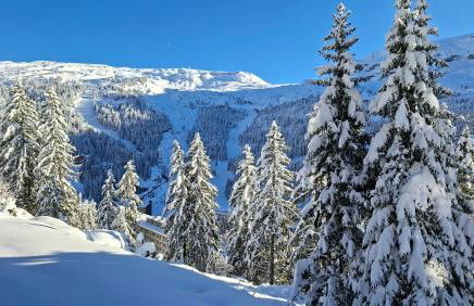 Appartement Flaine Forêt - Foto 74