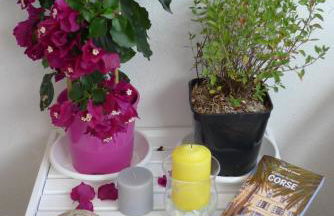 Nidu Accogliente in Balagna - Foto 38