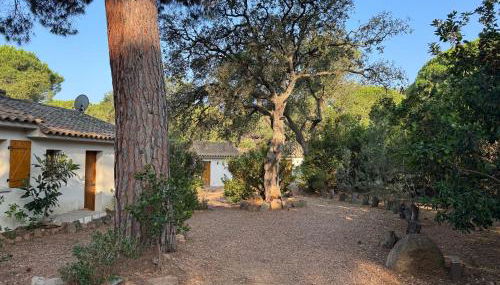 Villa pour4 pers à 700m de la plage de palombaggia - Foto 4