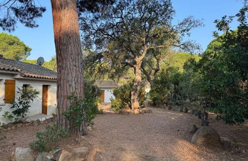 Villa pour4 pers à 700m de la plage de palombaggia - Foto 4