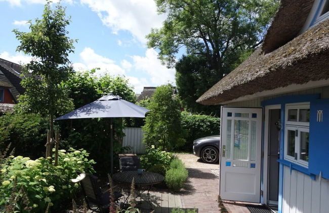 Captain House South Cats 8 - Photo 1