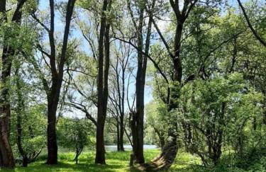 Osada Załuż - Foto 28