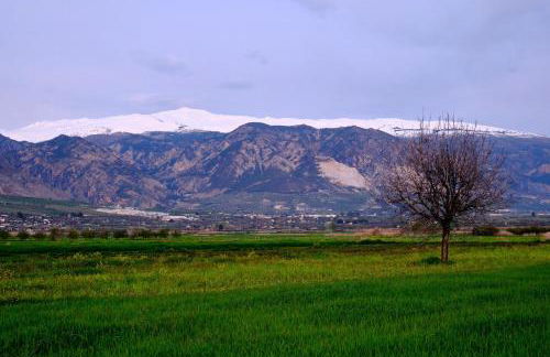 Finca Bellas Vistas - Foto 60