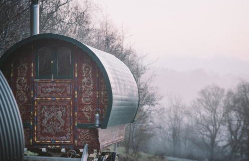 Goldfinch - Photo 12