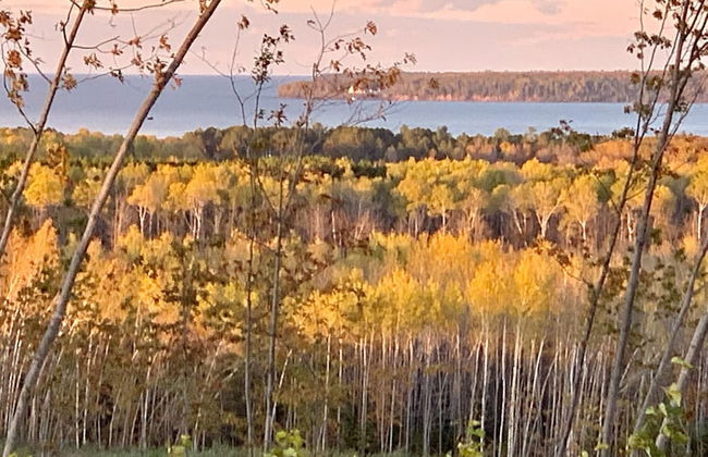 Hauser's Bayfield Cabin - Foto 11