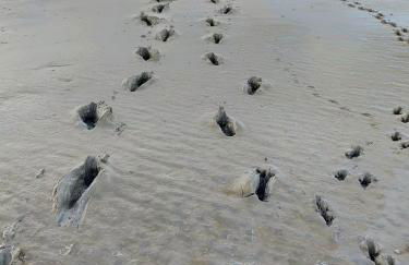 ESCAPADE EN BAIE 3étoiles - Foto 7