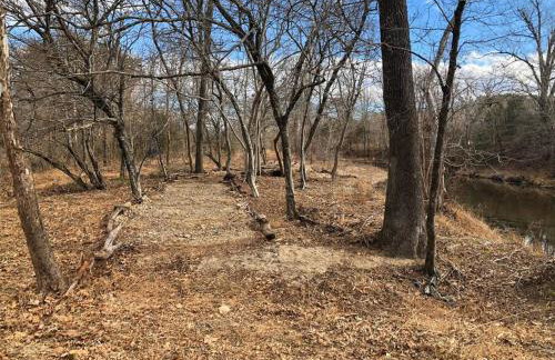 Caddo Cabin on Collier Creek - Foto 60