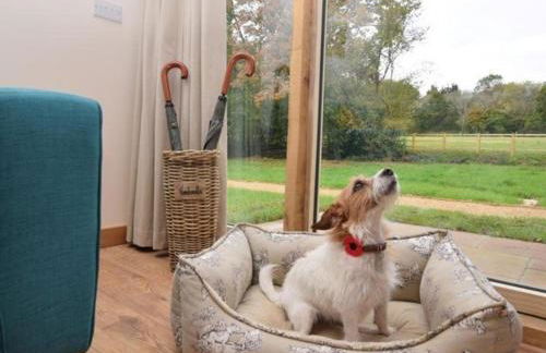 Nettlebed Farm Holiday Lets Barn3 - Photo 14