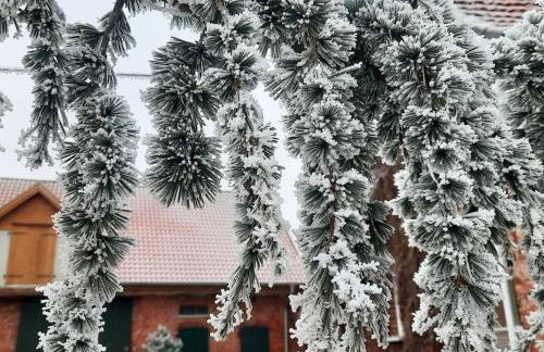 holiday apartment - Foto 12