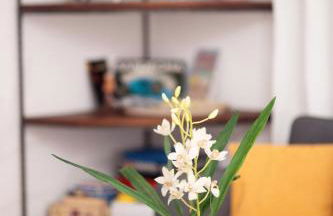 Casa Lugori - Foto 23