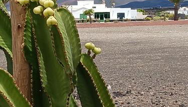 Casa Los Volcanes - Photo 1