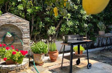 Sea front house & garden, Oropos - Foto 47