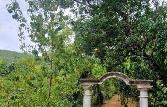 Huerto Fernandito - Foto 30