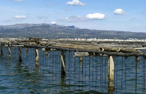 El piset de Paula - Foto 26