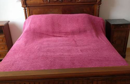 Maison médiévale 15ème siècle dans village historique d'Hérisson - FR-1-489-29 - Foto 10